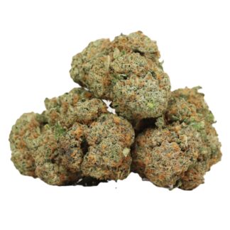 Buy Mango Kush Strain Online in Canada | Premium Cannabis & Fast Delivery