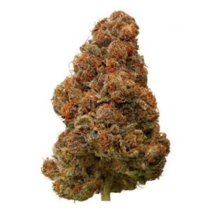 Buy Blackberry Kush Strain in Canada - Premium Quality & Fast Delivery