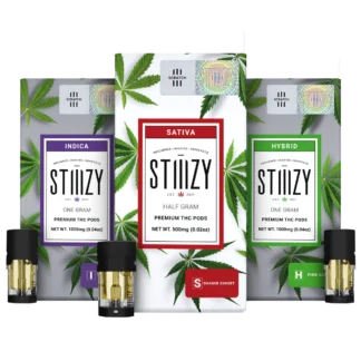 Buy STIIIZY Vape Pods Online in Canada – Premium Quality & Fast Shipping