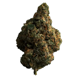 Buy Tropicana Cookies Strain Canada | Premium Cannabis Online | Fast Delivery