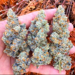 Buy Birthday Cake Strain Online | Premium Cannabis Seeds & Products