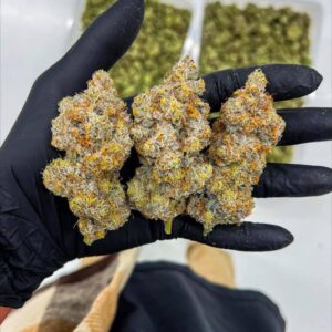 Buy Cali Candi Strain Online | Premium Cannabis Seeds & Products