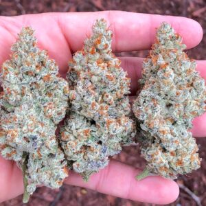Buy Zoda Strain Online | Premium Cannabis Seeds & Products