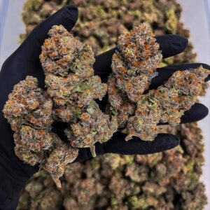 Buy Thai Cali Strain Online | Premium Cannabis Seeds & Products