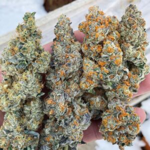 Buy Banana Breath Strain Online | Premium Cannabis Seeds & Products
